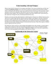 Understanding Adrenal Fatigue - ISIS Holistic Clinic