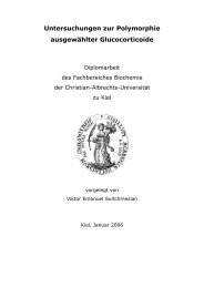 Untersuchungen zur Polymorphie ausgewählter Glucocorticoide