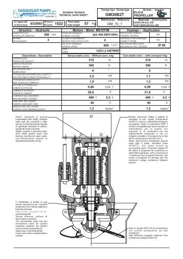 GM30B2T - Faggiolati Pumps