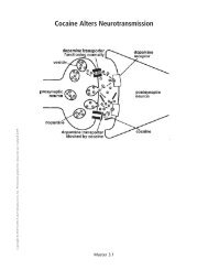 Complete Lesson 3 Masters - NIH Office of Science Education