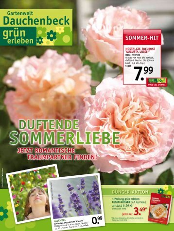 sommeR-Hit - Gartenwelt Dauchenbeck