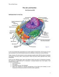 The cell and tissue - Sinoe medical homepage.