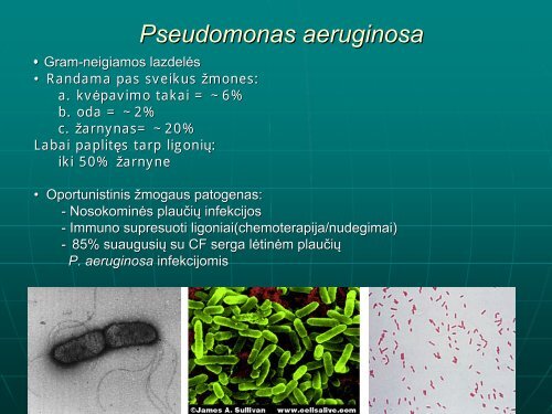 Pseudomonas spp . infekcijos gydymo problemos - I-Manager