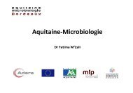 Aquitaine Microbiologie - GIPSO