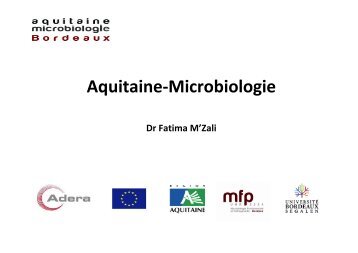 Aquitaine Microbiologie - GIPSO