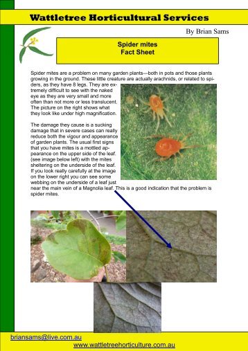 spider mites fact sheet.pdf - Wattletree Horticultural Services