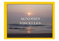 agnosie.visuelle.DU master.DVD.07 - ampra