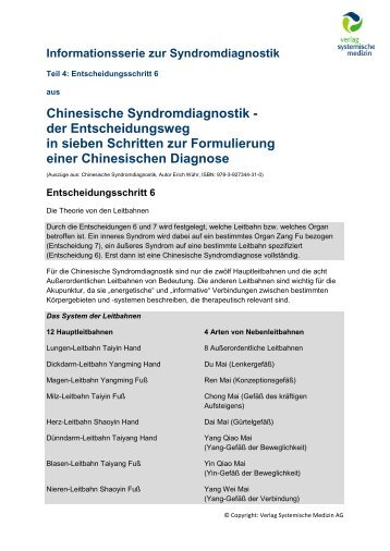 Informationsserie Syndromdiagnostik 4 - Verlag Systemische Medizin