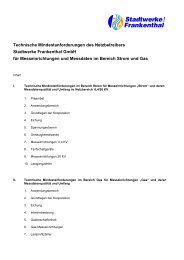 Technische Mindestanforderungen des Netzbetreibers Stadtwerke ...