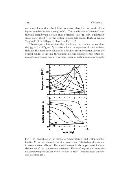 Stars as Laboratories for Fundamental Physics - MPP Theory Group