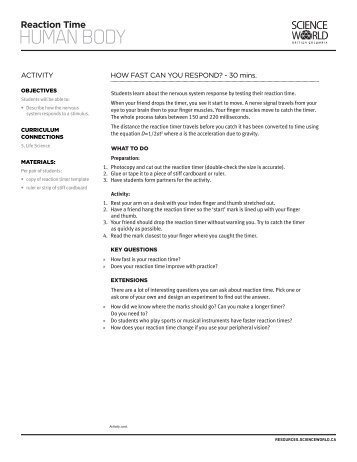 reaction paper for human resources This article should not be interpreted to mean that human perception-reaction time is 15 secondsthere is no such thing as the human perception-reaction time time to respond varies greatly across different tasks and even within the. reaction paper for human resources This article should not be interpreted to mean that human perception-reaction time is 15 secondsthere is no such thing as the human perception-reaction time time to respond varies greatly across different tasks and even within the.