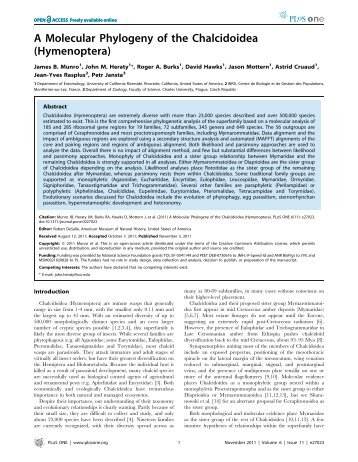 A Molecular Phylogeny of the Chalcidoidea (Hymenoptera) - CIPRes