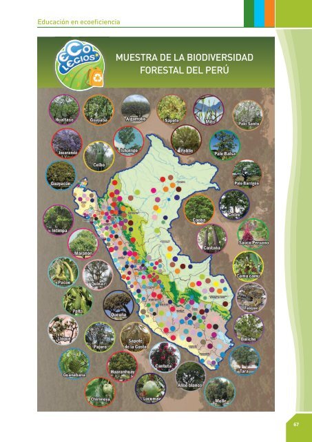 Ciudadanía ambiental - CDAM - Ministerio del Ambiente