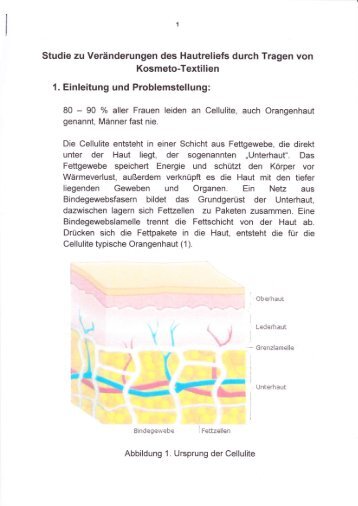 Link zur Studie (PDF) - Marie