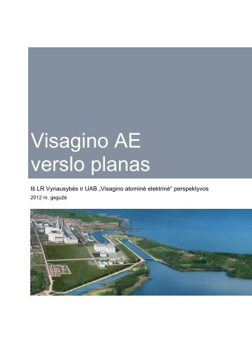 Visagino AE verslo planas - Visagino atominÄs elektrinÄs projektas