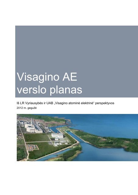 Visagino AE verslo planas - Visagino atominÄs elektrinÄs projektas