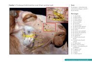 Halaman Contoh-Atlas neuroangiologi dan organologi ... - aff fkh ipb