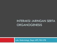 07. Interaksi Jaringan dan Organogenesis - aff fkh ipb