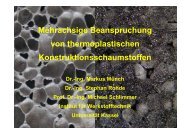 Mehrachsige Beanspruchung von thermoplastischen ... - am IFM