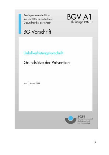 BGV A1 Erläuterungen BGFE - M/S VisuCom GmbH