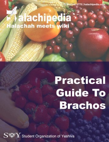 Brachos_Packet