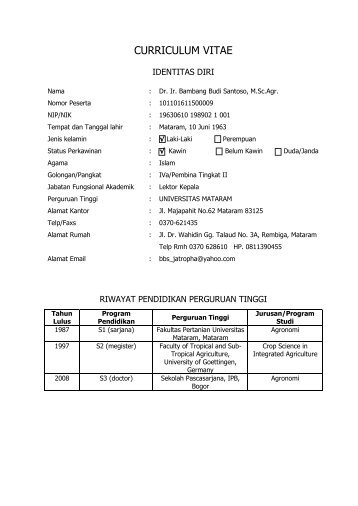 CURRICULUM VITAE - Universitas Mataram