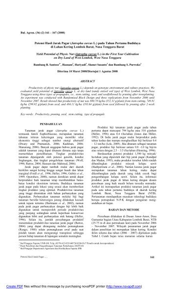 Potensi Hasil Jarak Pagar (Jatropha curcas L.) pada Tahun Pertama ...