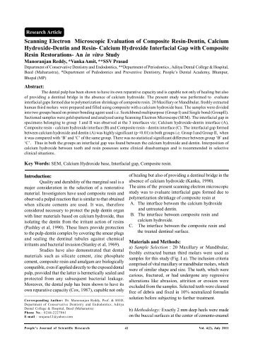 Scanning Electron Microscopic Evaluation of Composite Resin ...