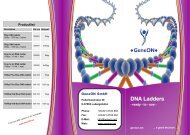 DNA Ladders product flyer - GeneON