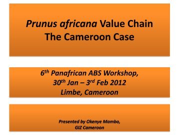 Prunus africana Value Chain Cameroon Case - ABS Capacity ...