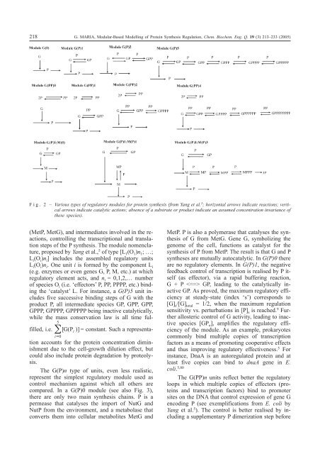 Modular-Based Modelling of Protein Synthesis Regulation