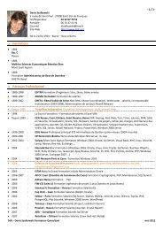 mon CV au format PDF - Denis Szalkowski Formateur Consultant