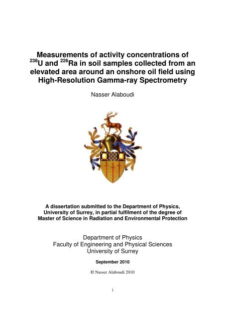 msc dissertation sample msc dissertation sample