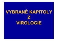 Ãvod do virologie - LF