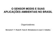 o sensor modis e suas aplicaÃ§Ãµes ambientais no brasil - INPE-DGI