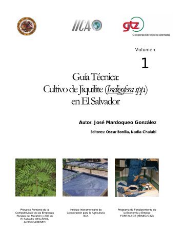 GuÃ­a TÃ©cnica: Cultivo de Jiquilite (Indigofera spp.) en El Salvador