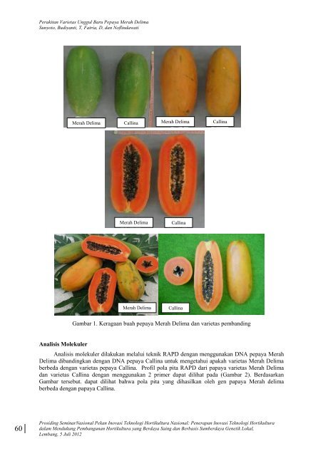 SEMNAS Hortikultura Buku 2 - Departemen Pertanian