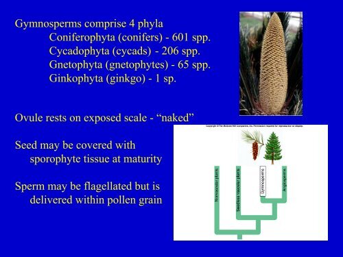 Plant Diversity.pdf