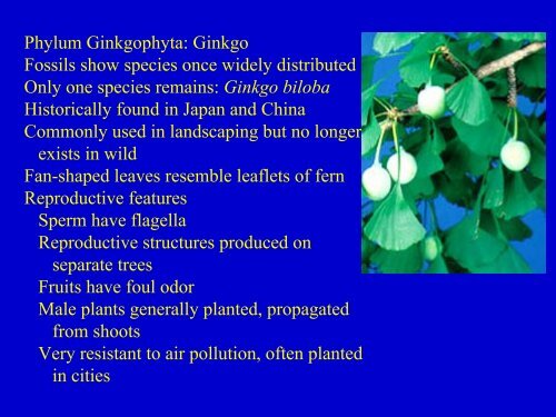 Plant Diversity.pdf
