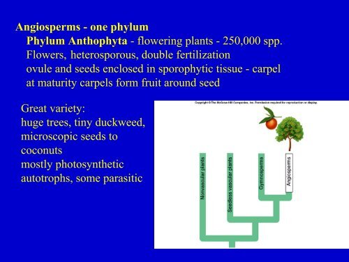 Plant Diversity.pdf