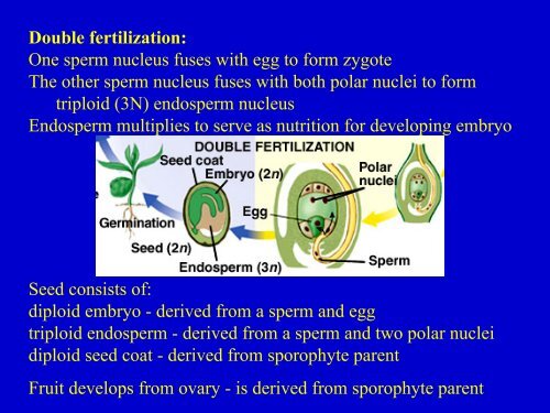 Plant Diversity.pdf