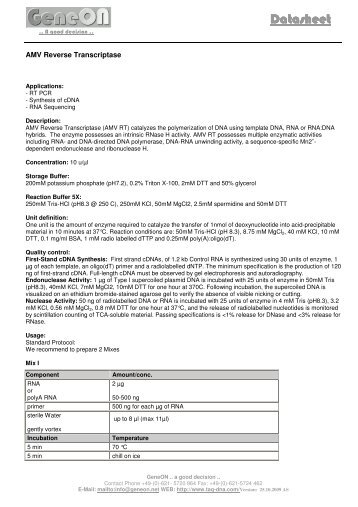 AMV Reverse Transcriptase: Datasheet - GeneON