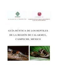 Q049Guia reptiles