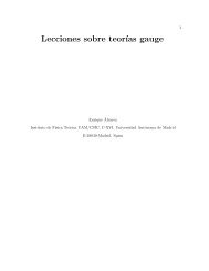 Lecciones sobre teor´ıas gauge - IFT - Universidad Autónoma de ...