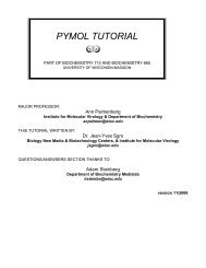 PyMOL Tutorial (PDF)