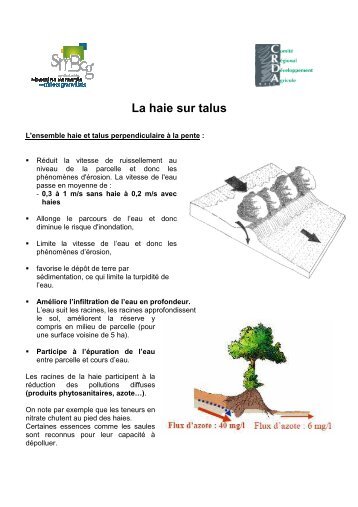 La haie sur talus - Pardessuslahaie.net