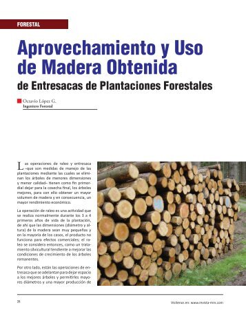 Aprovechamiento y Uso de Madera Obtenida - Revista El Mueble y ...