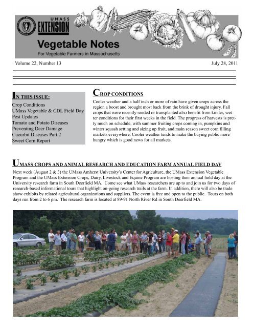 Vegetable Notes Umass Extension