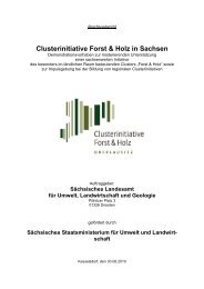 Endbericht des Projektes Clusterinitiative Forst & Holz in Sachsen
