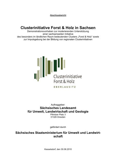 Endbericht des Projektes Clusterinitiative Forst & Holz in Sachsen